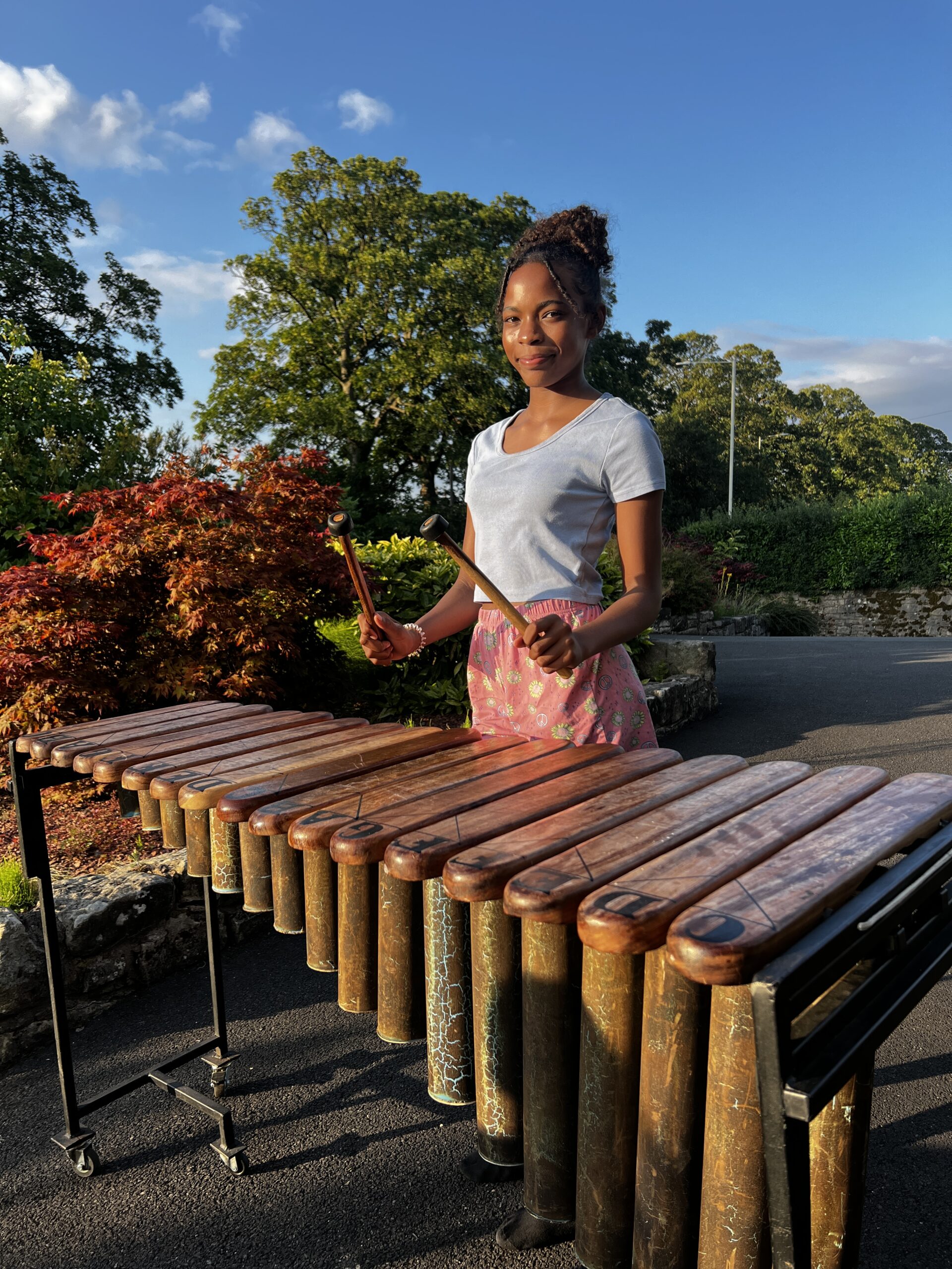 African Marimba Lessons